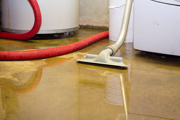 Best Water damage mitigation services  in Bloomfield Hills, MI