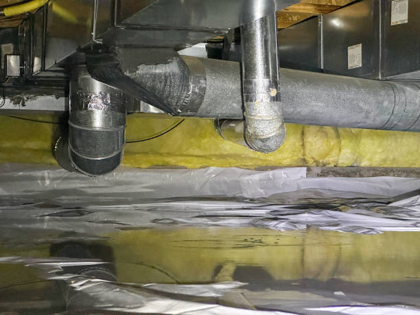 Best Mold removal after water damage  in Bloomfield Hills, MI