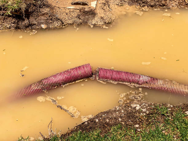 Best Residential water damage restoration  in Bloomfield Hills, MI
