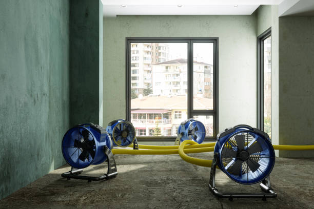 Best Water damage restoration near me  in Bloomfield Hills, MI
